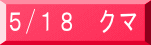 ５/１８　クマ 
