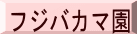 フジバカマ園 