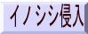 イノシシ侵入 