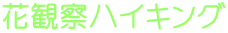 花観察ハイキング